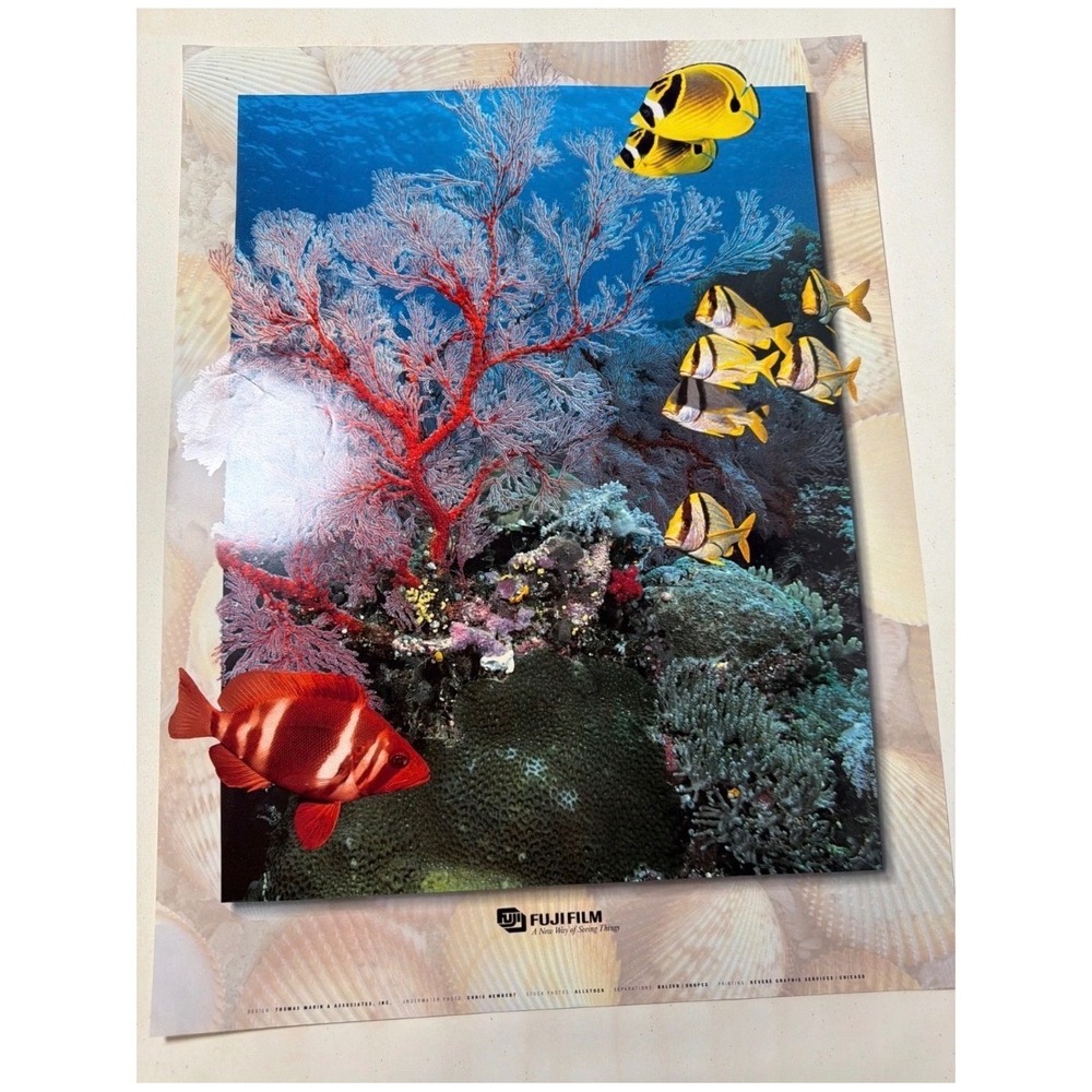 VINTAGE Fujifilm Underwater Photography Poster Unisex OS Multicolor